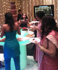 Chocolate Fountain and Dips
